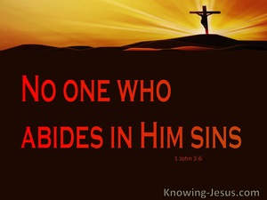 1 John 3:6